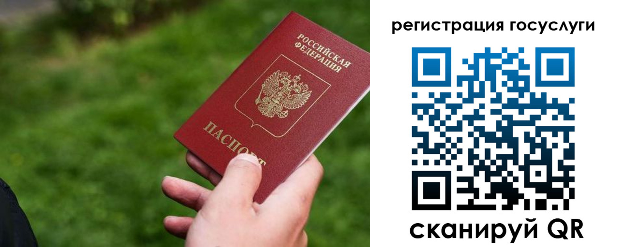 временная регистрация в Дорогобуже